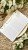 IMG_5207.jpeg
